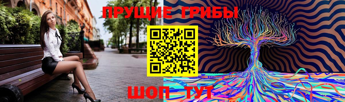Галлюциногенные грибы Psilocybe Ессентуки