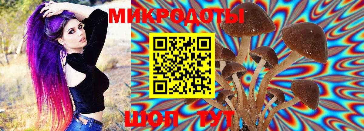 Ессентуки  Псилоцибиновые грибы GOLDEN TEACHER  Вход с VPN 