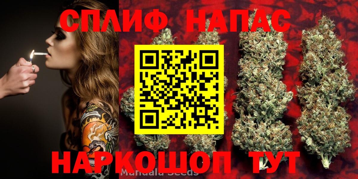 МАРИХУАНА индика Ессентуки